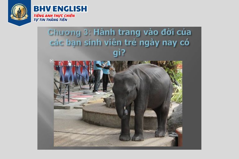 Read more about the article Chương 3: Hành trang vào đời của các bạn sinh viên trẻ ngày nay có gì?