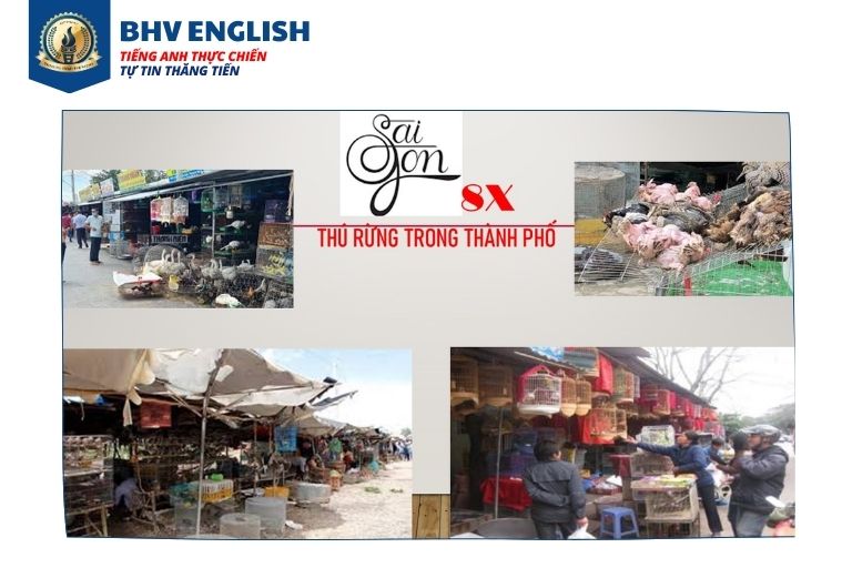 Read more about the article Thú Rừng Trong Thành Phố